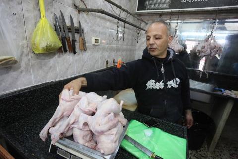 الاقتصاد والزراعة: الاحتلال يتعمد إغراق السوق الفلسطيني بدواجن المستوطنات لضرب المزارع