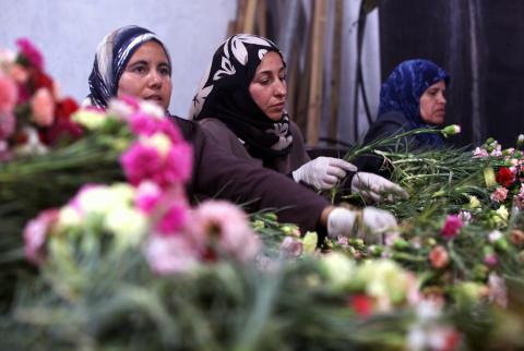 زراعة الورود في غزة تعود للانتعاش للحب وكسب المال