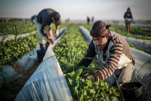 خبير اقتصادي: انخفاض إجمالي الواردات في غزة بنسبة 15% 