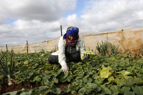 تقرير دولي: الأراضي الفلسطينية تعاني من ارتفاع معدلات البطالة خاصة في صفوف النساء الماهرات