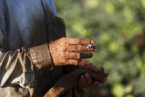 الأسرة الفلسطينية تنفق على التبغ والسجائر شهريًا 50 دينارًا