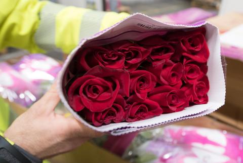 رواج تقديم الزهور كهدايا في عيد الحب بألمانيا يرفع أسعارها