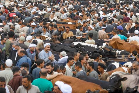 رغم جائحة كورونا.. زحام في سوق للماشية بمصر قبيل عيد الأضحى