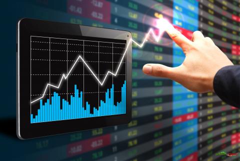 هيئة سوق رأس المال تشطب إدراج شركتين من البورصة