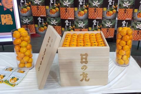 صندوق برتقال يباع بحوالي 10 آلاف دولار في اليابان