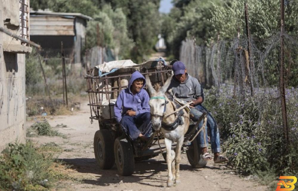 خبير اقتصادي: قطاع غزة يغرق في مستنقعات البطالة والفقر