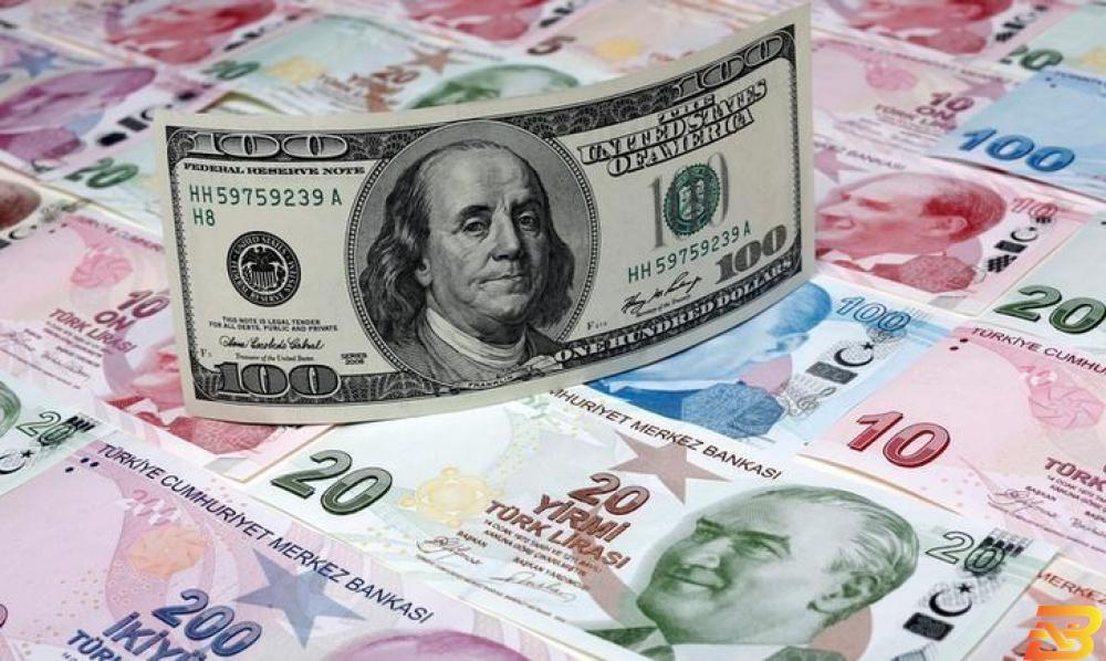 الليرة التركية تهبط لمستوى قياسي أمام الدولار