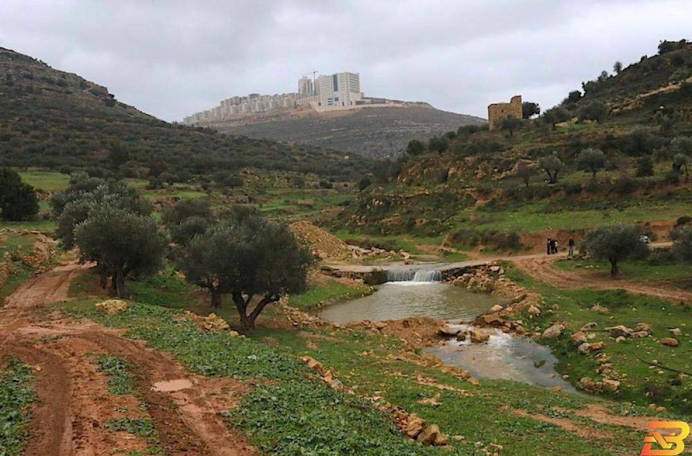 مجاري الأحياء الراقية في رام الله تلوث البيئة والمياه في عين قينيا