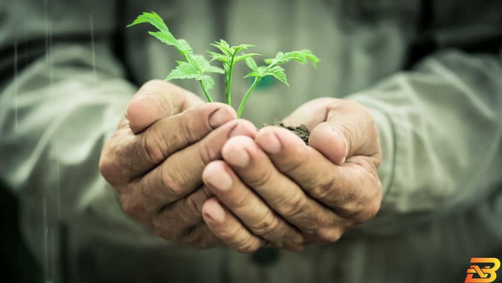 صورة للتوضيح فقط-أرشيف وكالات إجابات لكل استفساراتكم حول قانون الضمان الاجتماعي