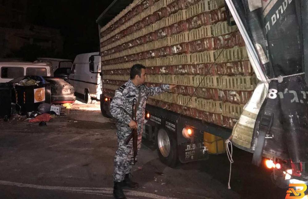 أحد أفراد الضابطة الجمركية يتفقد الشاحنة المهربة ضبط 6500 دجاجة مهربة من المستوطنات في رام الله