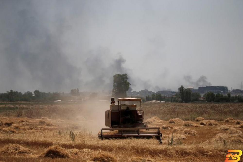 محراث داخل حقل للقمح في غرب الموصل بالعراق. صورة من أرشيف رويترز العراق ينوي خفض مساحة القمح المروية للنصف بسبب شح المياه
