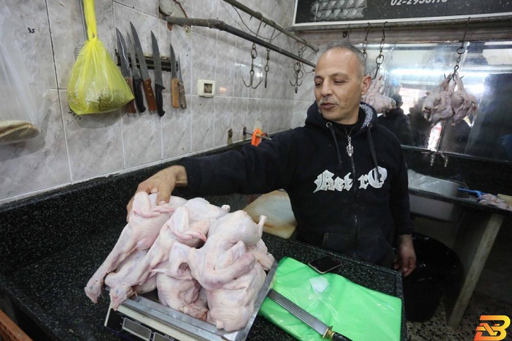 تراجع أسعار كيلو الدجاج في السوق الفلسطيني-تصوير وكالات الاقتصاد والزراعة: الاحتلال يتعمد إغراق السوق الفلسطيني بدواجن المستوطنات لضرب المزارع
