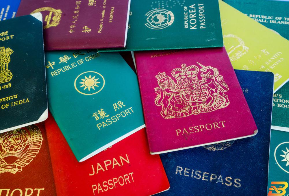 ’بلومينا’..شركة تساعد الباحثين عن جنسية وجواز سفر ثاني