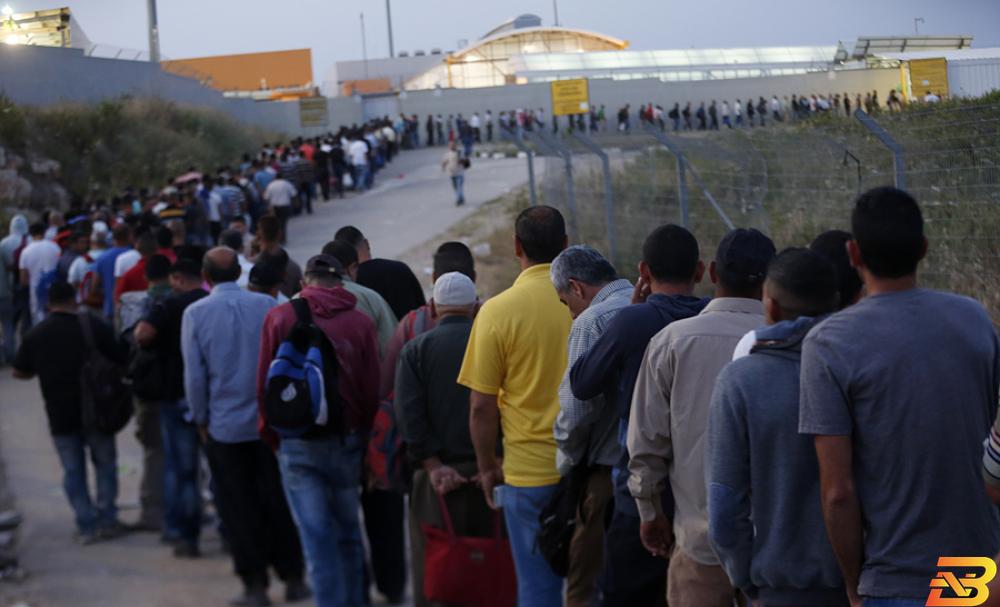 آلاف العمال يصطفون على معبر نعلين العسكري في ساعات مبكرة للعمل داخل الخط الأخضر-أرشيف وفا عمال فلسطين.. الخبز المرّ