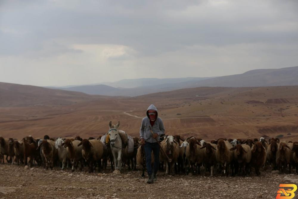 خربة الحديدية-تصوير شادي جرارعة كوب الماء ’الأغلى’ في العالم
