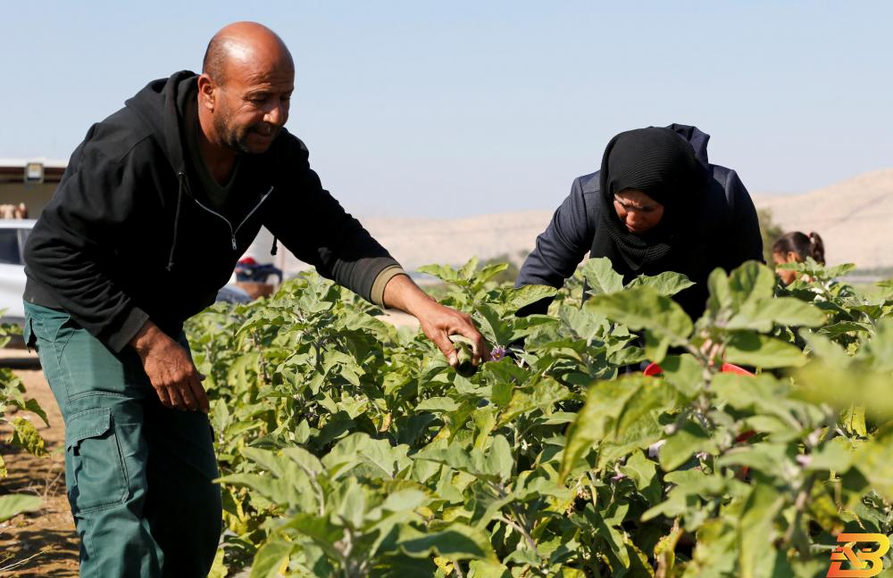 إسرائيل تحظر الصادرات الزراعية الفلسطينية عبر الأردن