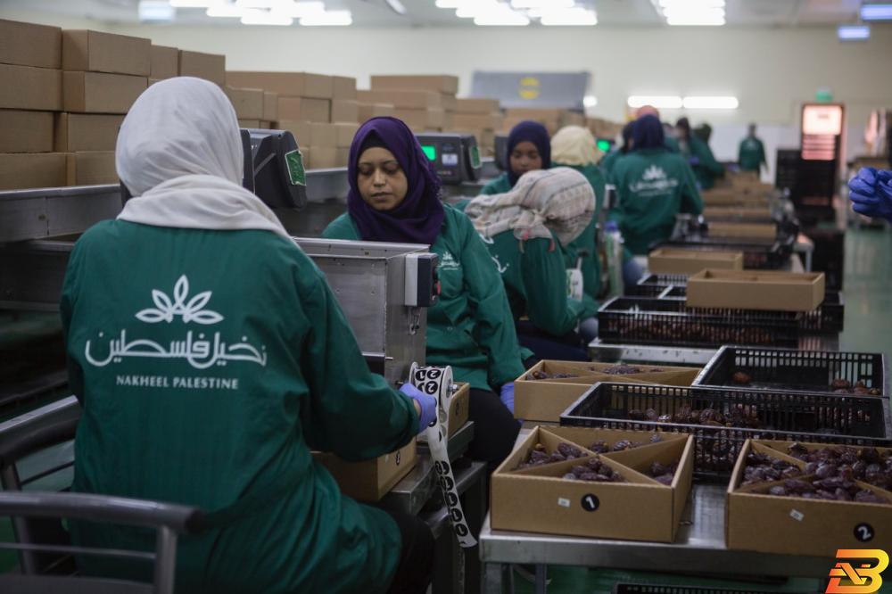 عاملات في مصنع نخيل فلسطين للتمور في أريحا-تصوير وكالات خطة لإنعاش الصادرات الزراعية الفلسطينية