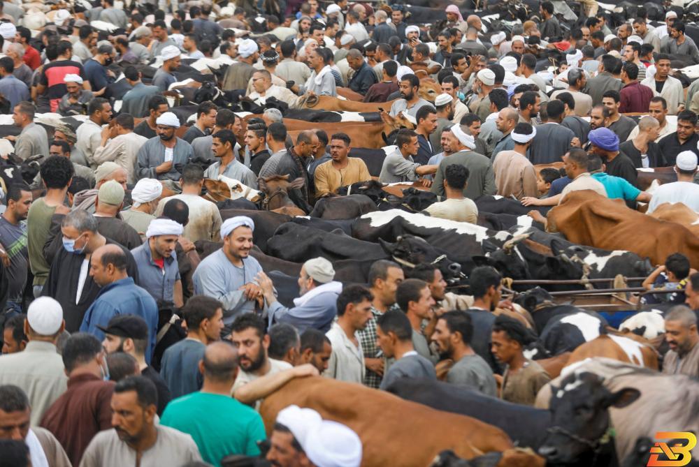 جانب من الزحام في سوق المناشي للماشية في محافظة الجيزة يوم الخميس. رغم جائحة كورونا.. زحام في سوق للماشية بمصر قبيل عيد الأضحى