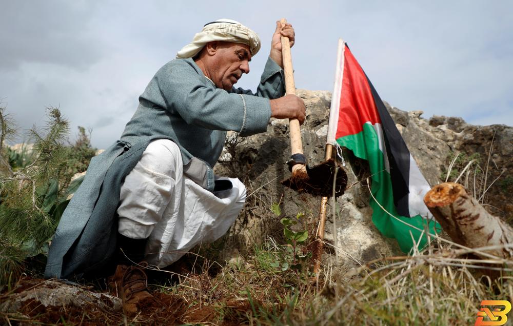 مزارع فلسطيني في أرضه-تصوير وفا الإحصاء: حوالي 13.7 مليون عدد الفلسطينيين نهاية عام 2020